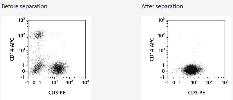 Separation of a whole blood sample using the StraightFrom Whole Blood CD3 MicroBeads and the MultiMACS Cell24 Separator Plus with the Single-Column Adapter and Whole Blood Columns without washing step after labeling. Cells were fluorescently stained with CD3-PE, CD14‑APC, as well as CD45-VioBlue and analyzed by flow cytometry using the MACSQuant Analyzer. Cells were triggered via CD45-VioBlue, cell debris and dead cells were excluded from the analysis based on scatter signals and propidium iodide fluorescence.